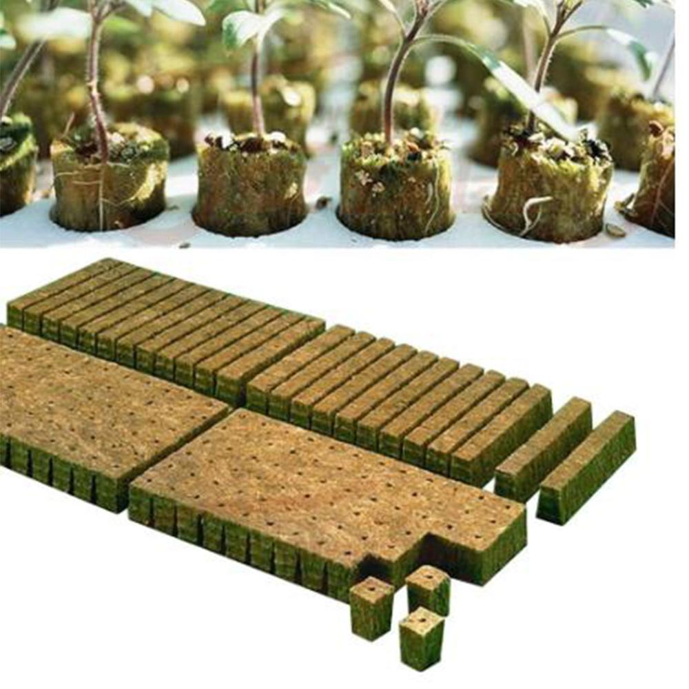 Steenwol Plant Starter Kubus Hydrocultuur Groeien Grondloze Teelt Planten Basis