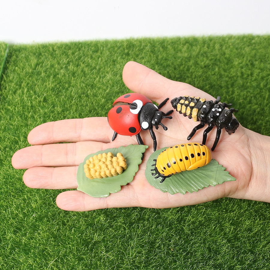 Simulation Animals Life Cycle Model Ladybug Butterfly Hen Turtle Frog Ant Figurine and Stencils Drawing Educational Toys