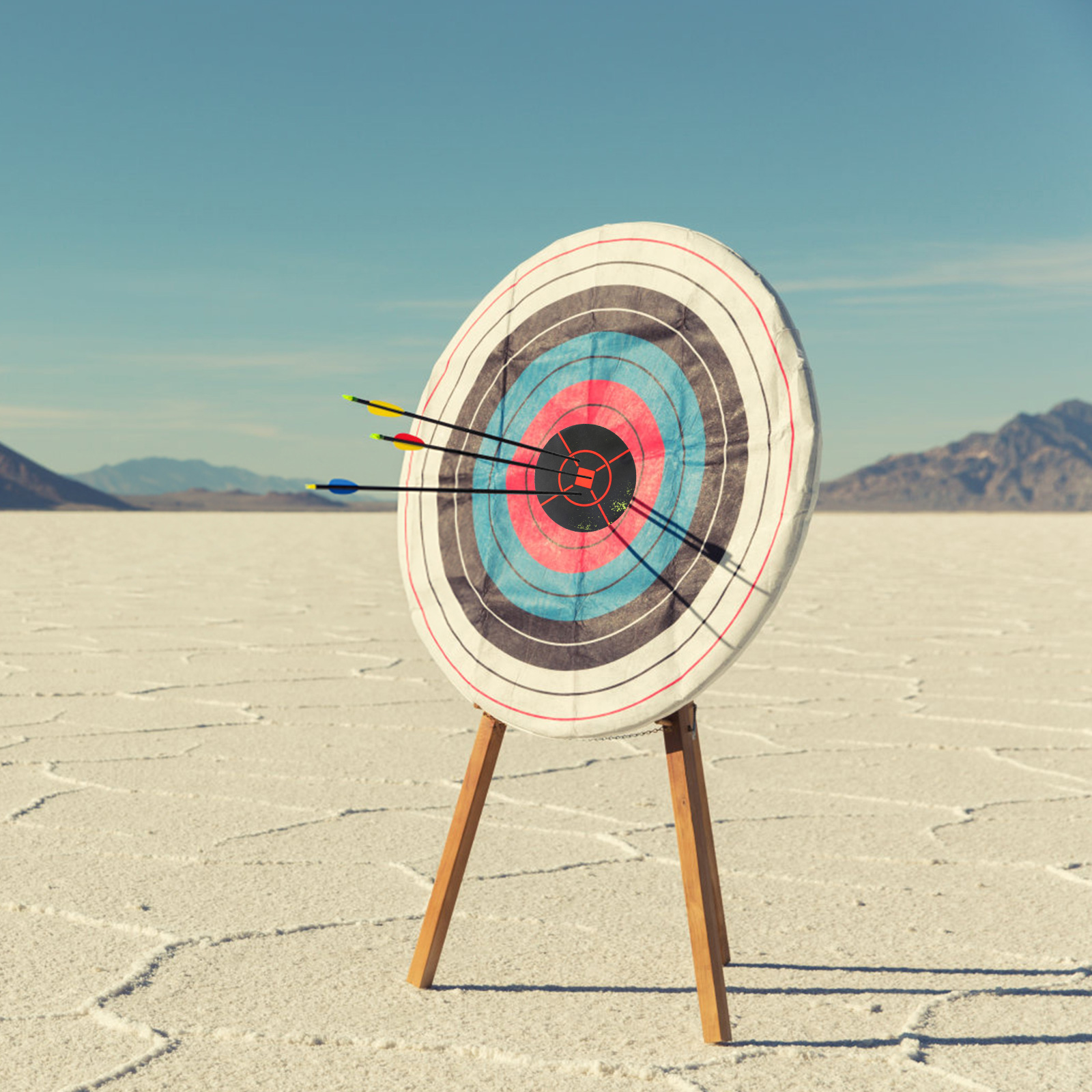 1 Roll Training Stickers Aim Stickers Shooting Aim Stickers Stickiness Aim Labels for Train Indoor Shoots