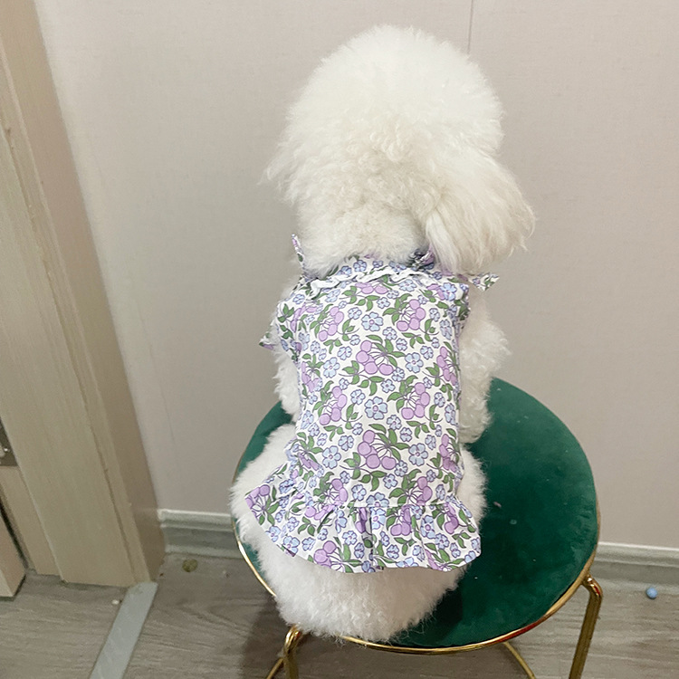 Floral Girl Dog Clothes for Small Dog Dresses Chih...  Grandado