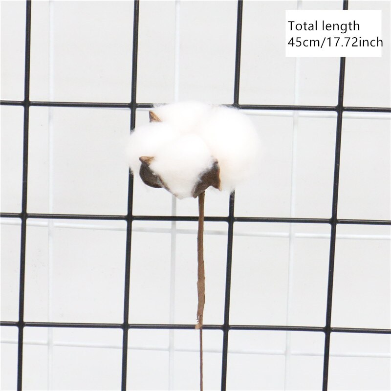 Ægte naturlige tørrede blomster fyrrekogler lotusrod tusindfryd jul år bryllup dekoration ornament blomsterhandlere boligindretning håndværk: 011