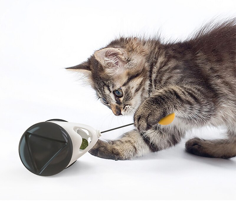 Intressanta leksaker balansgunga bil rolig katt leksak katt pedagogisk leksak katt rolig interaktiv leksak inomhus leksak med kattmynta boll