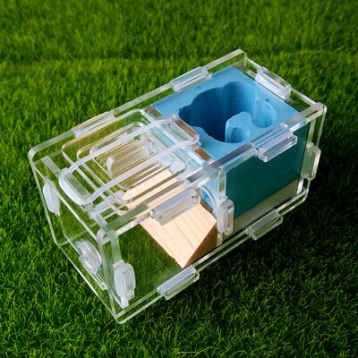 Maur slott maur spleise slott bionisk akryl gips maur reir kjæledyr maur slott verksted hjem maur reir: F5