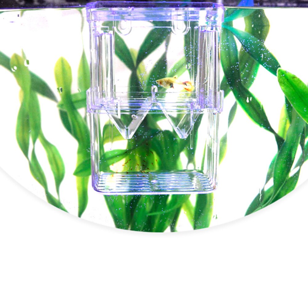 Acrylic Isolation Box Fish and Shrimp Breeding Box Small Fish Spawning Hatching Room Acrylic Fish Tank Is Safe and Permeable