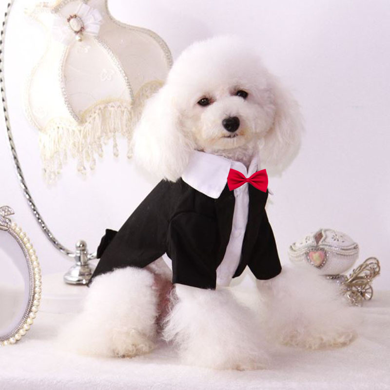 Vêtements de mariage pour chiens domestiques | Smoking pour chiot, noir, pour hommes, chiens, chats, Chihuahua, caniche, Bichon, robe de mariage