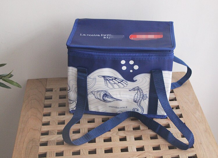 8L portable eco friendly cooler bag thermal picnic lunch box vehicle insulation shoulder bag food drinks fresh carrier bag