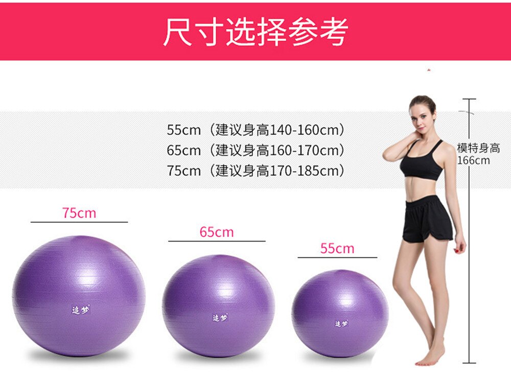 Sports Yoga Balls Bola Pilates Fitness Gym Balance Fitball Exercise Pilates Workout Massage Ball 45cm 55cm 65cm 75cm 85cm