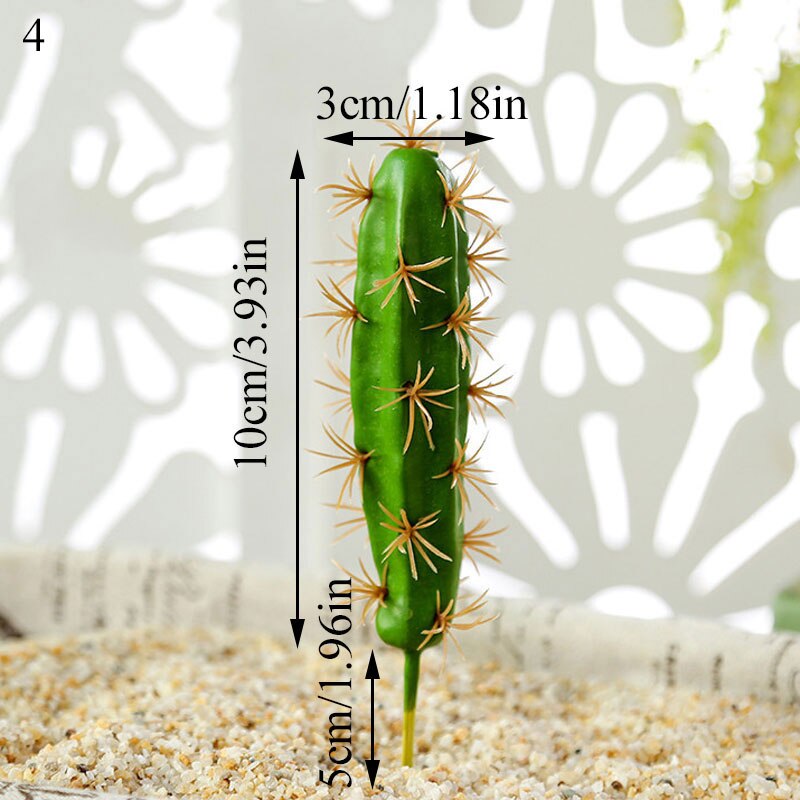 Graines de graines pour Aquarium, plante aquatique, graines faciles, Aquarium, aménagement paysager: 4