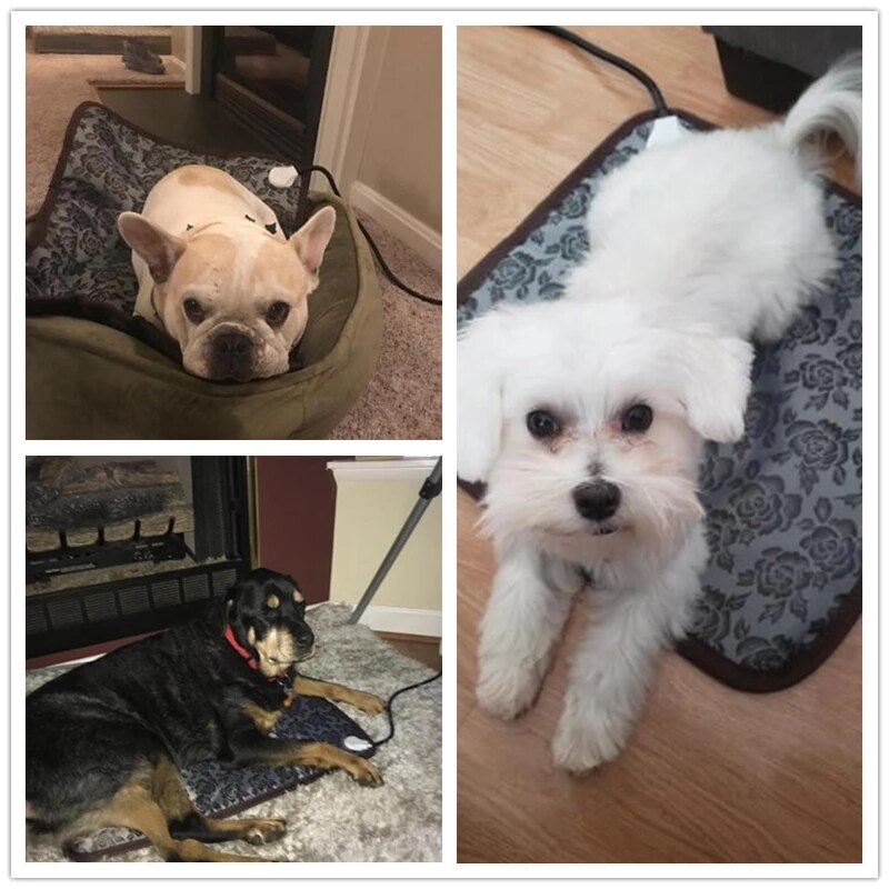 Tapis chauffant électrique pour animaux de compagnie, Protection contre les coupures de courant, pour chiens et chats, imperméable, résistant aux morsures, en hiver, 3 Modes, coussin chauffant réglable