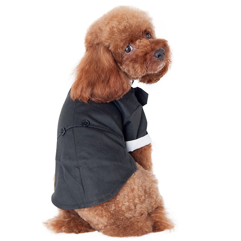 Ropa para perro y gato Prince traje de boda esmoquin pajarita cachorro abrigo 5 tamaños para perro pequeño grande