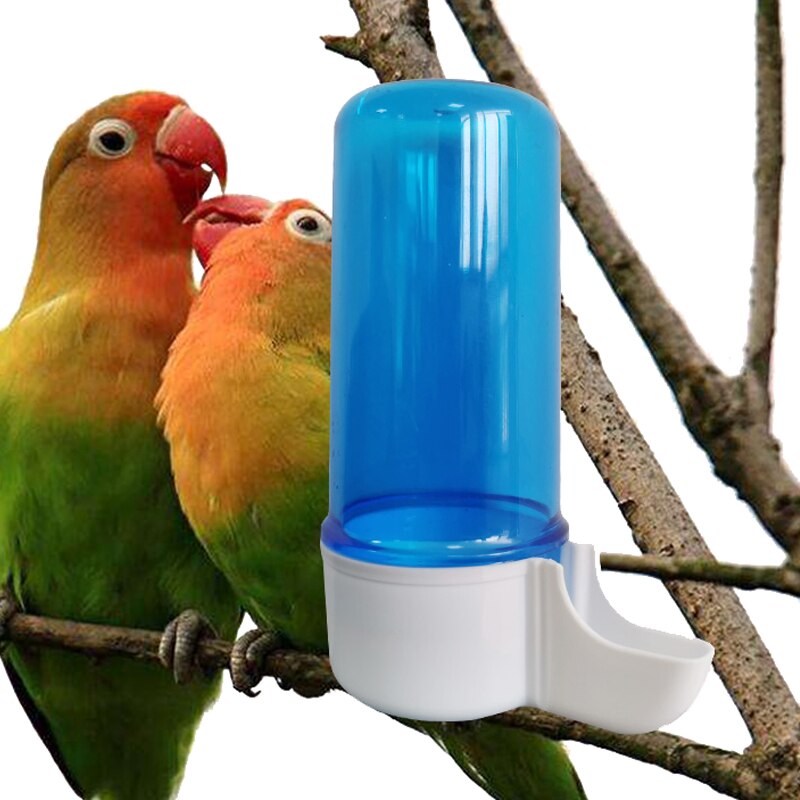 Bebedero semiautomático para loros, caja de alimentación para loros, bebedero transparente azul, bebedero para pájaros, 120ml, 1-3 piezas