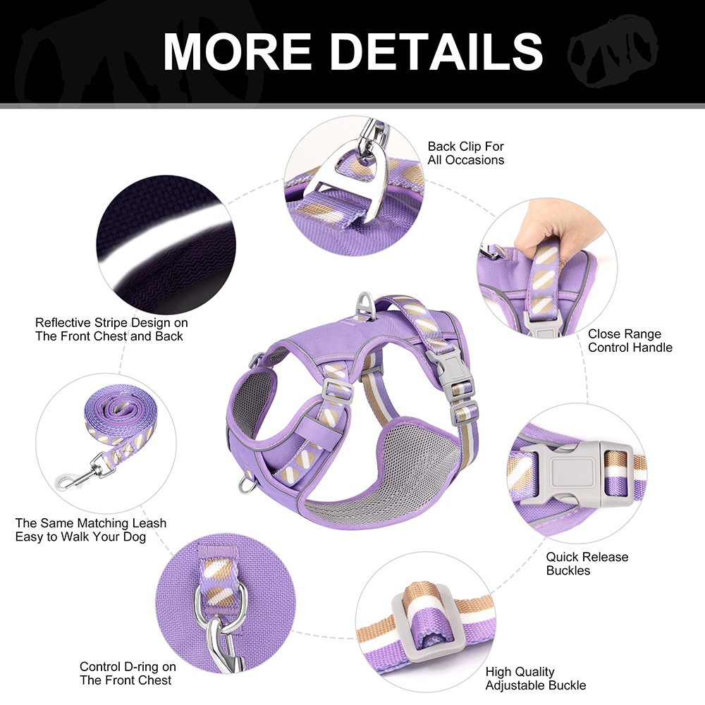 Laisse en nylon réglable pour chiens, ensemble de laisse SFP Casting, sans nervure, poignée de commande, laisse pour animaux de compagnie pour chiens moyens et grands