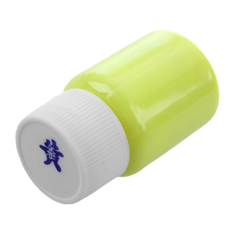 20g Glow in the Dark Acrylic Luminous Paint Bright Pigment Party Decoration DIY