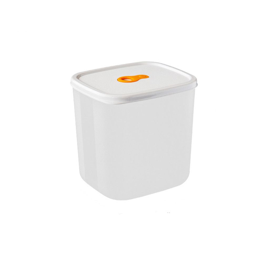 Freezing Cubes with Tray Refrigerator Leakproof Snack Organizer Food Container Jars Storage Box: 1160ml