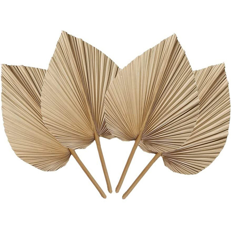 4 Stück natürliche getrocknete Palmblätter sind perfekt für Palme blatt Dekor, Boho Dekor, Wohnkultur, Hochzeit