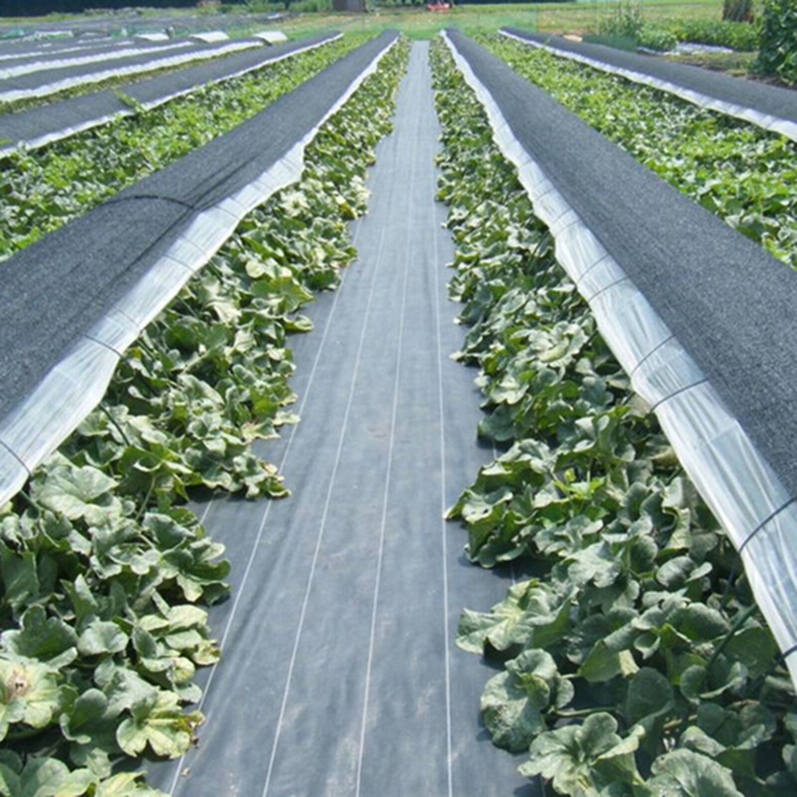 Landbouw Anti Gras Doek Farm-Georiënteerde Wiet Barrière Mat Zwart Plastic Mulch Dikkere Boomgaard Tuin Onkruidbestrijding Stof