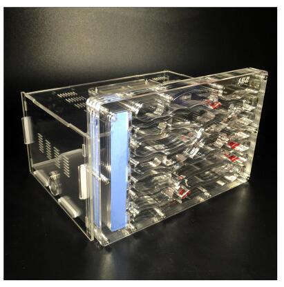 Acrylic Ants Nest Farm Insect Pet Cages Anthill Ecological Villas Student Biological Educational DIY Toy Granja de hormigas nid