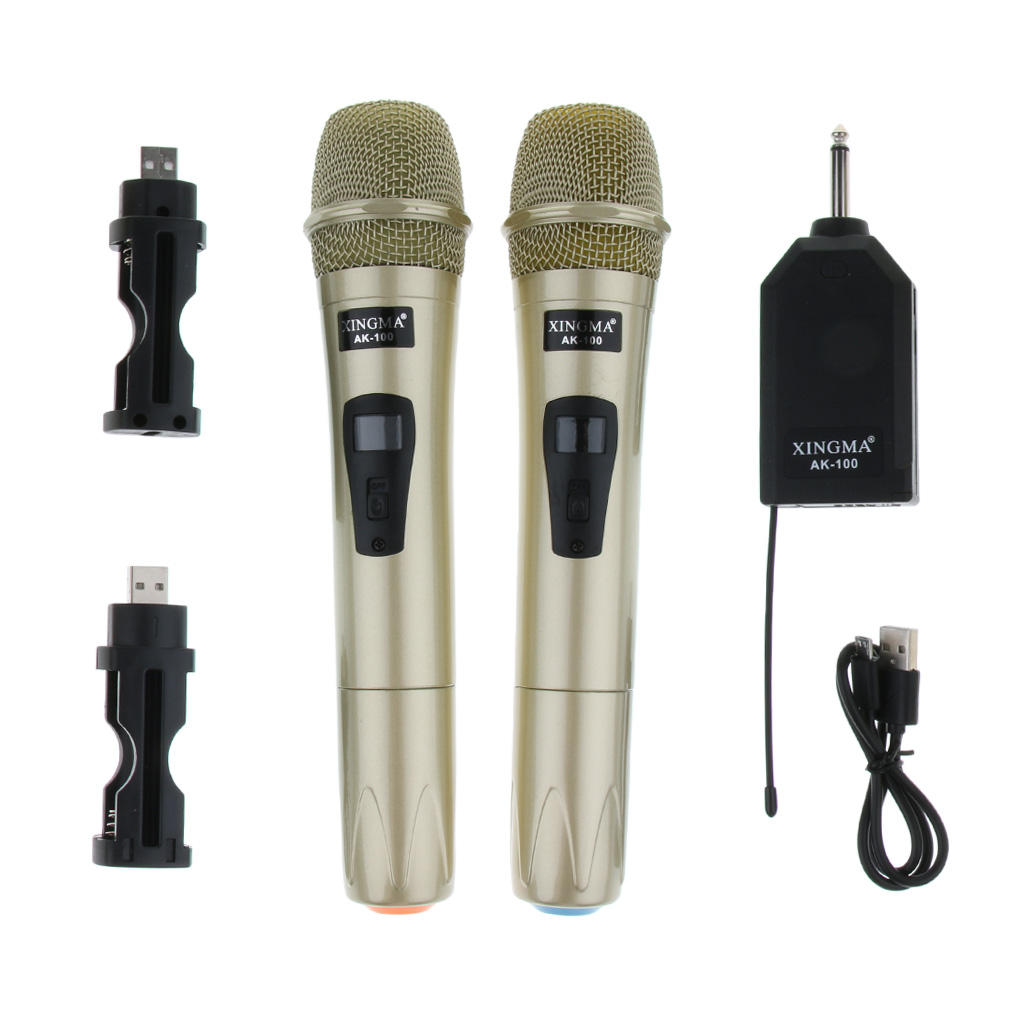 1 Set High Sensitivity Wireless Microphone Mic Mike w/ Receiver USB Cable