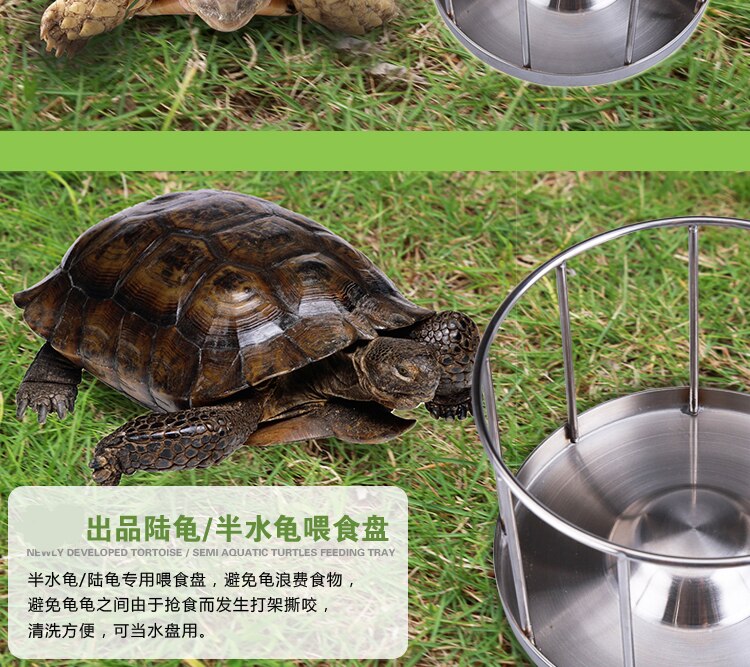 Schildpad Voedsel Kom Half Water Schildpad Voedsel Plaat Rand 304 Rvs Geel Rand Voedsel Disc Schildpad Voeden