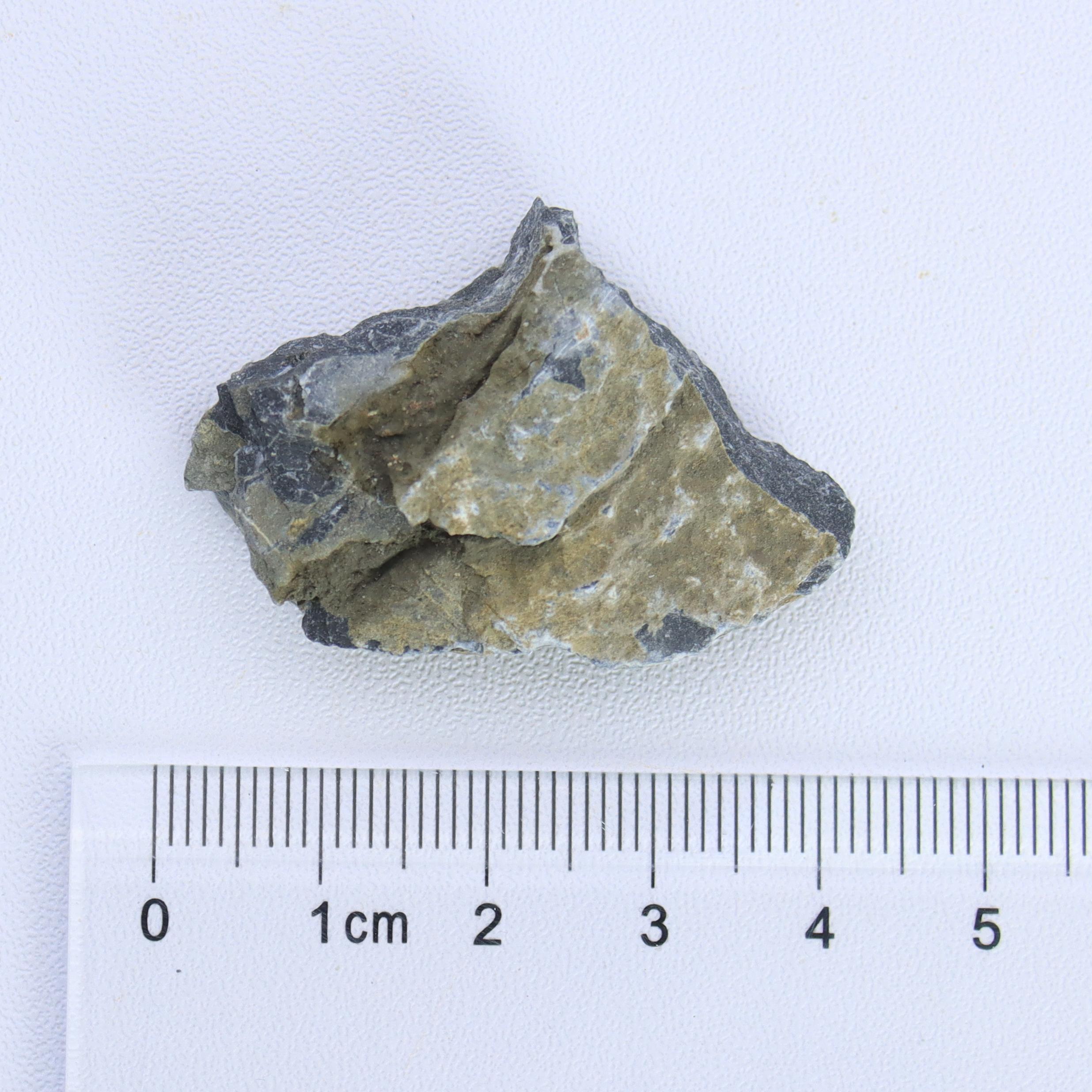 1lb/350g naturlig kalkstein, akvarielandskapsdekorasjonsstein, porøs kalsiumkarbonatstein, akvariefyll, potteplante