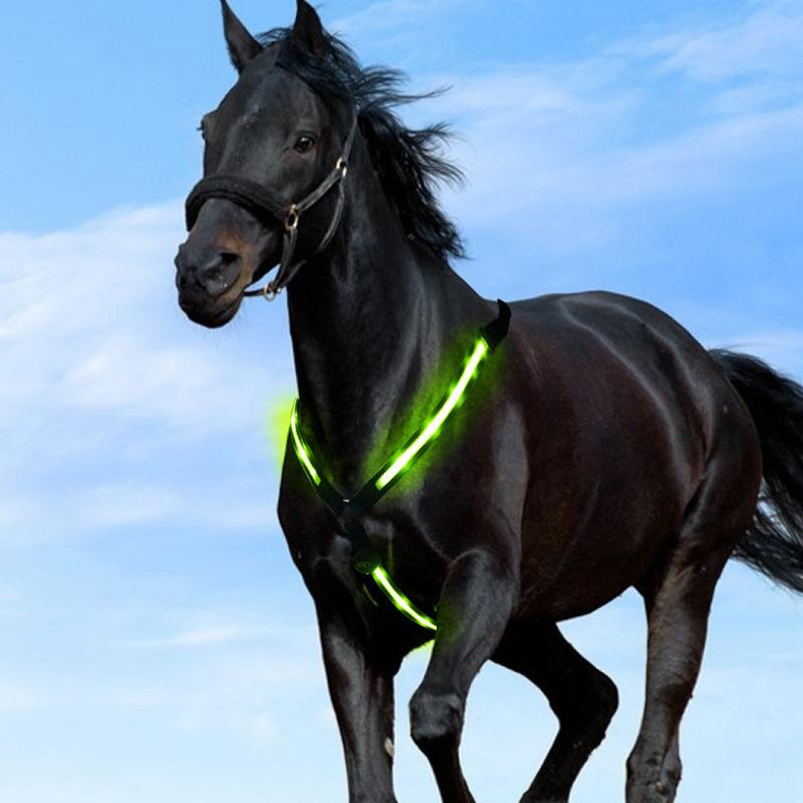 LED Horse Breastplate Collar USB Rechargeable Adjustable Equestrian Safety Gear