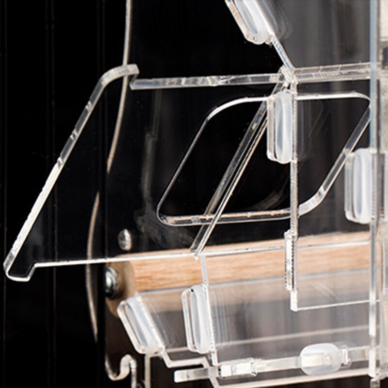 Anti-planer and Anti-scattering Automatic Bird Feeder Trough Starling Acrylic Feeder Automatic Feeder for Parrots and Birds