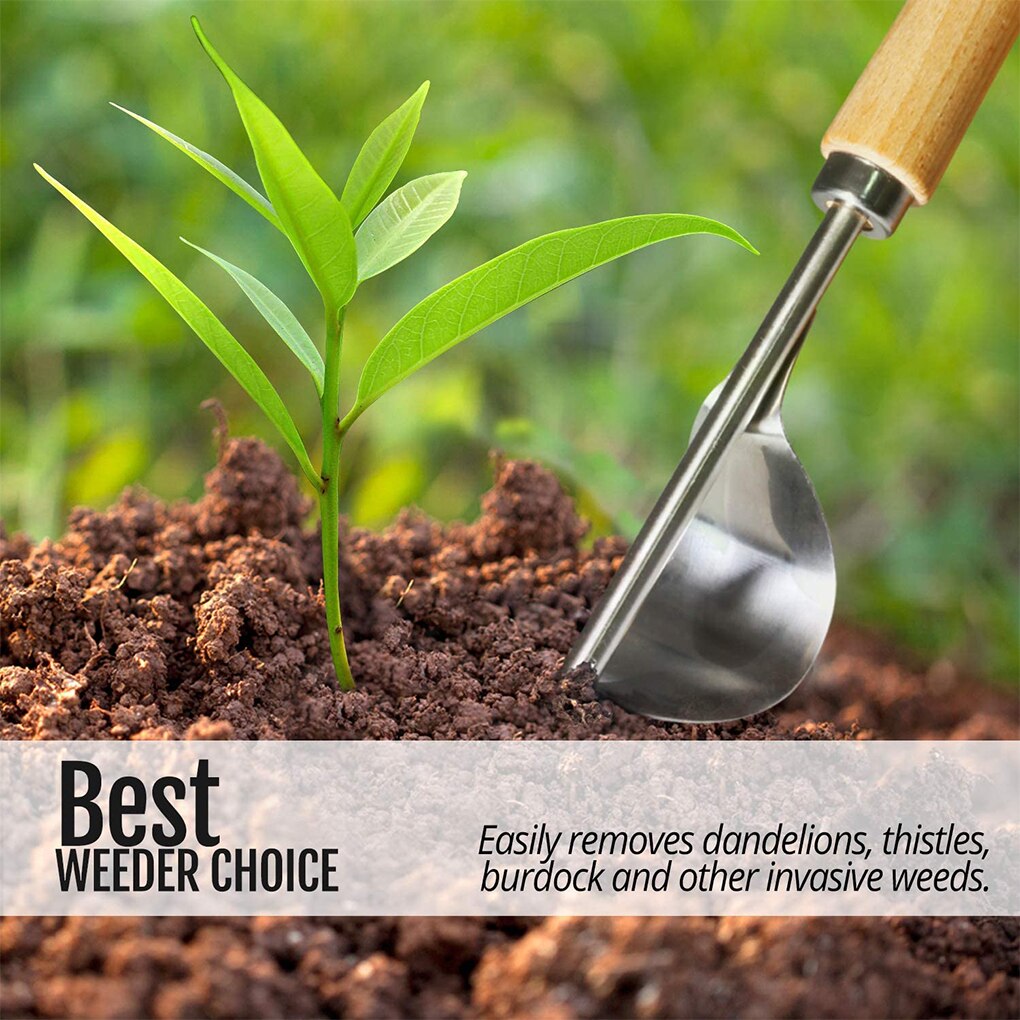 Weeder-escardador de jardín Manual de madera de acero inoxidable, herramienta con asa de madera
