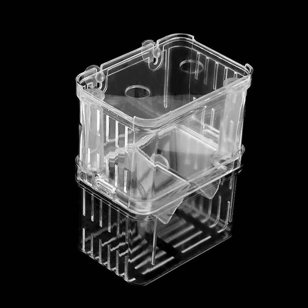 Clear Acrylic Fish Breeding Isolation Box Fish Tank Aquarium Breeder Box Double Guppies Hatching Incubator Aquarium Pet Supplies