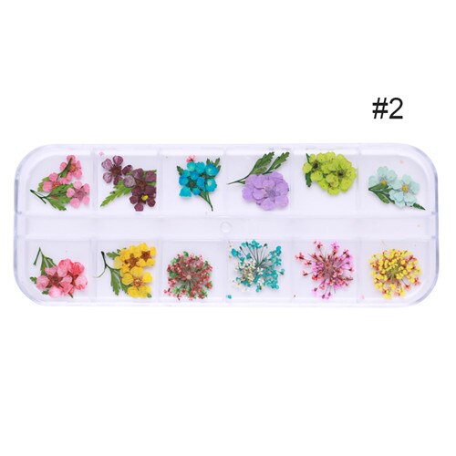 1 doos Kleurrijke Natuurlijke Droge Bloemen Bloemen Gemengde Patronen 3D Nail Art DIY Decoraties Gereedschap Voor UV Gel Polish: Pattern 2