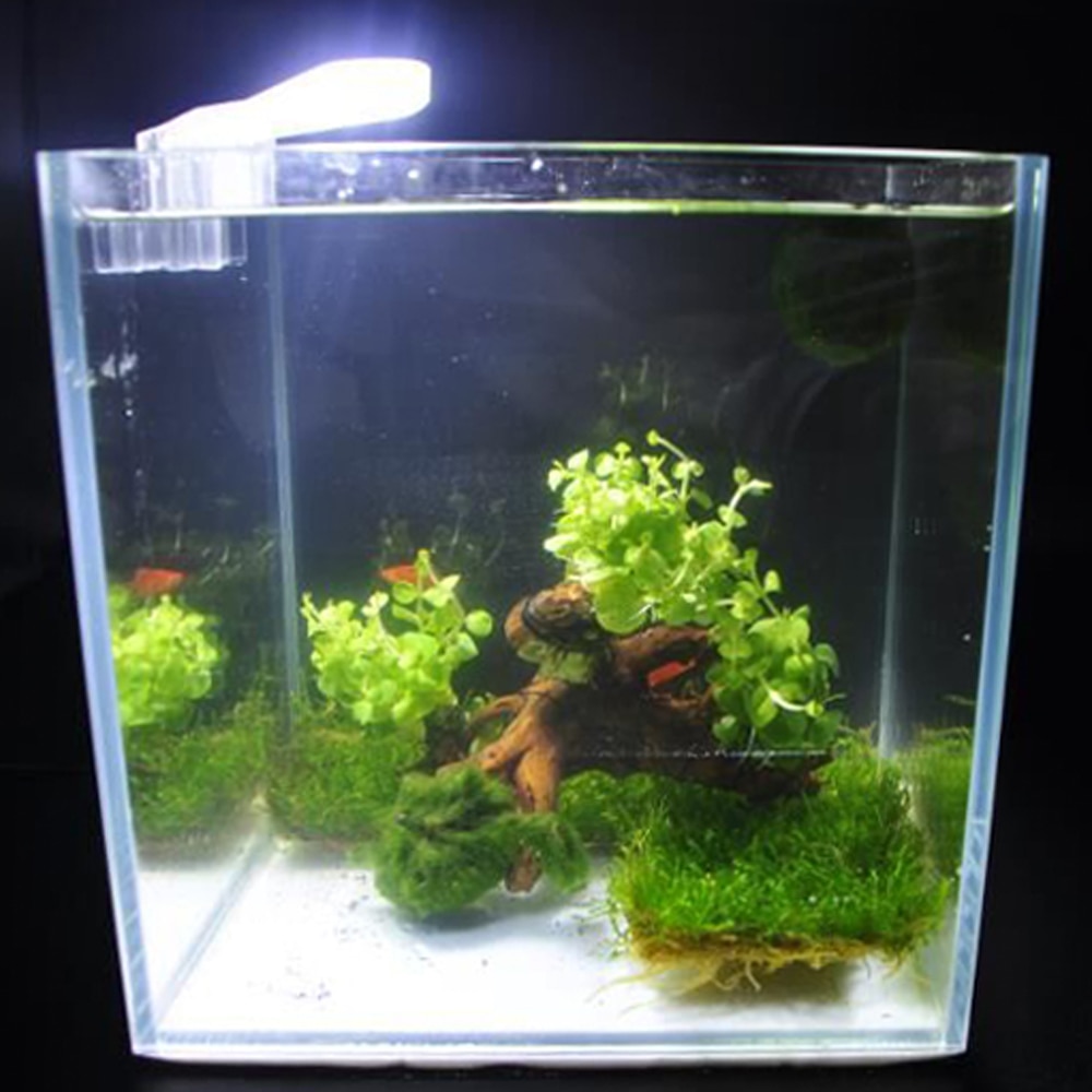 LED Aquarium Light Mini Fish Tank White Light EU Plug Aquarium Fan-shaped Clamp Lamp with 8pcs High Light SMD5730 LEDs