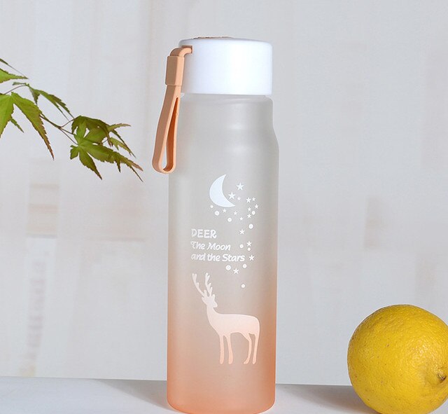 560Ml Sport Water Fles Outdoor Draagbare Gradiënt Frosted Plastic Drinkbeker Meisje Lekvrij -Proof Shaker Mok Waterkoker: Orange1