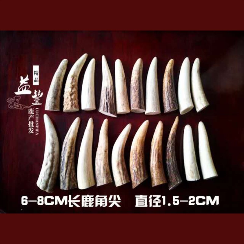 Red deer antler material antler point antler button deer horn section bar horn material knife handle material pendant angle mate