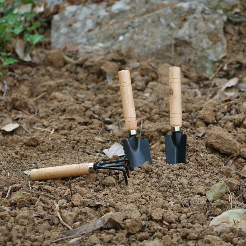 Set Of Miniature Gardening Tools For Growing Greenery At Home. Rakes