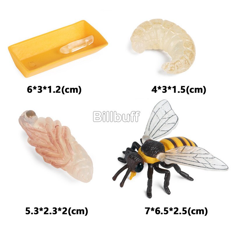 Simulatie Bloem Plant Dier Insect Actiefiguren Zonnebloem Rose Model Realistische Pvc Beeldjes Cognitieve Speelgoed Voor Kinderen: bee figures-G