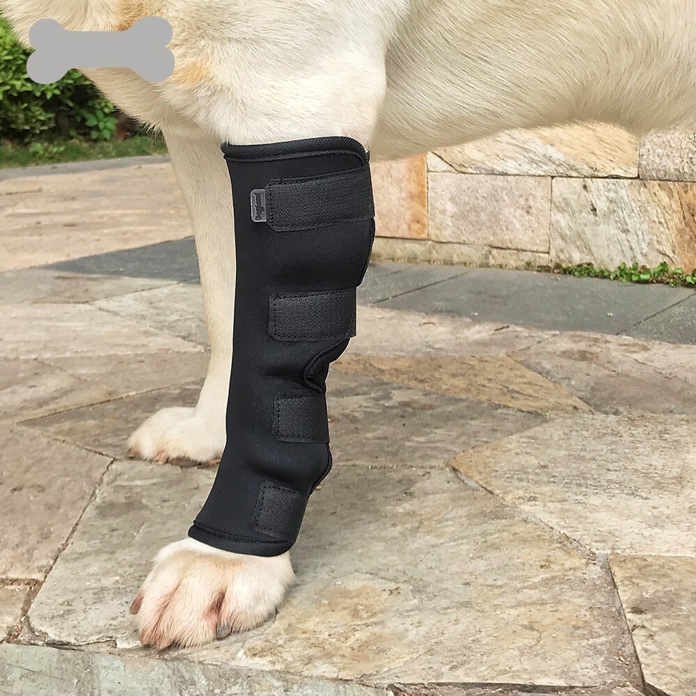 Lechong Hond Joint Protector Is Geschikt Voor Hond Been Letsel Wrap Herstel Beugel Huisdier Vaste Herstel Riem