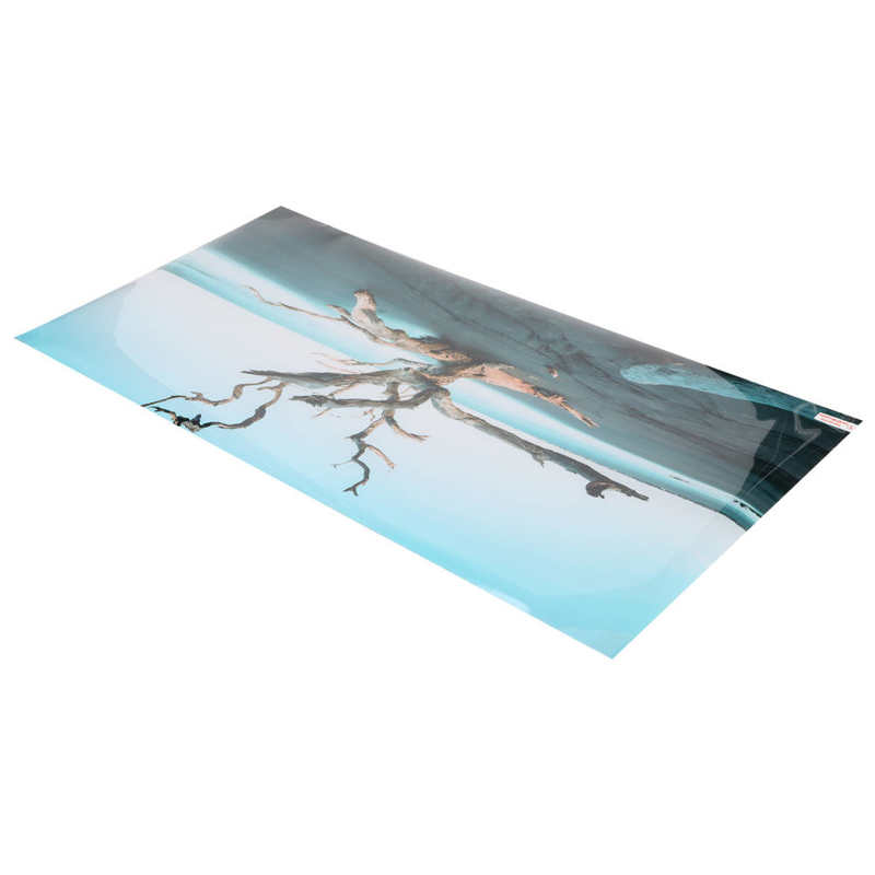 Aquarium Background Decor High Transparency Aquarium Poster for Aquarium