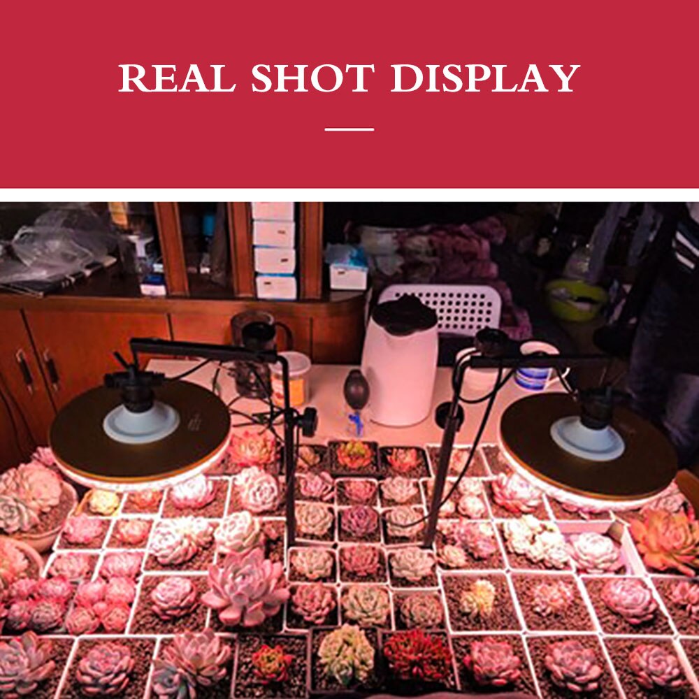 Lampshade Floor Stand Reptile Glass Container Heating Lamp Bracket Reptile Landing Lamp Stand Bracket Lamp