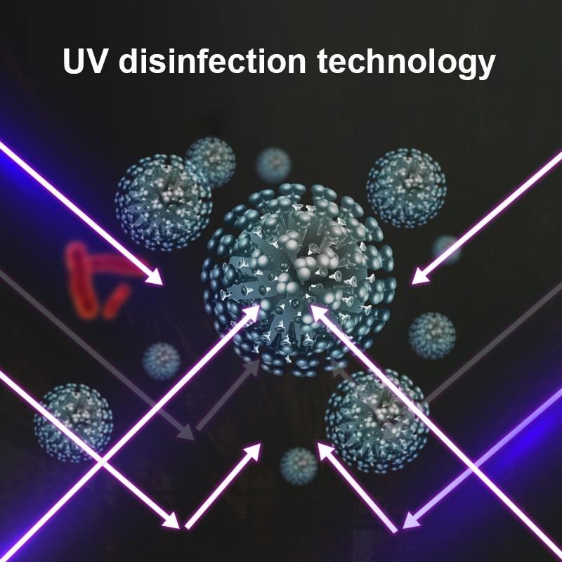 Caja esterilizadora de teléfono UV de 5V, limpiador Personal de joyas y teléfonos, cabina de desinfección con Aroma, Esterilizador UV para mascarilla