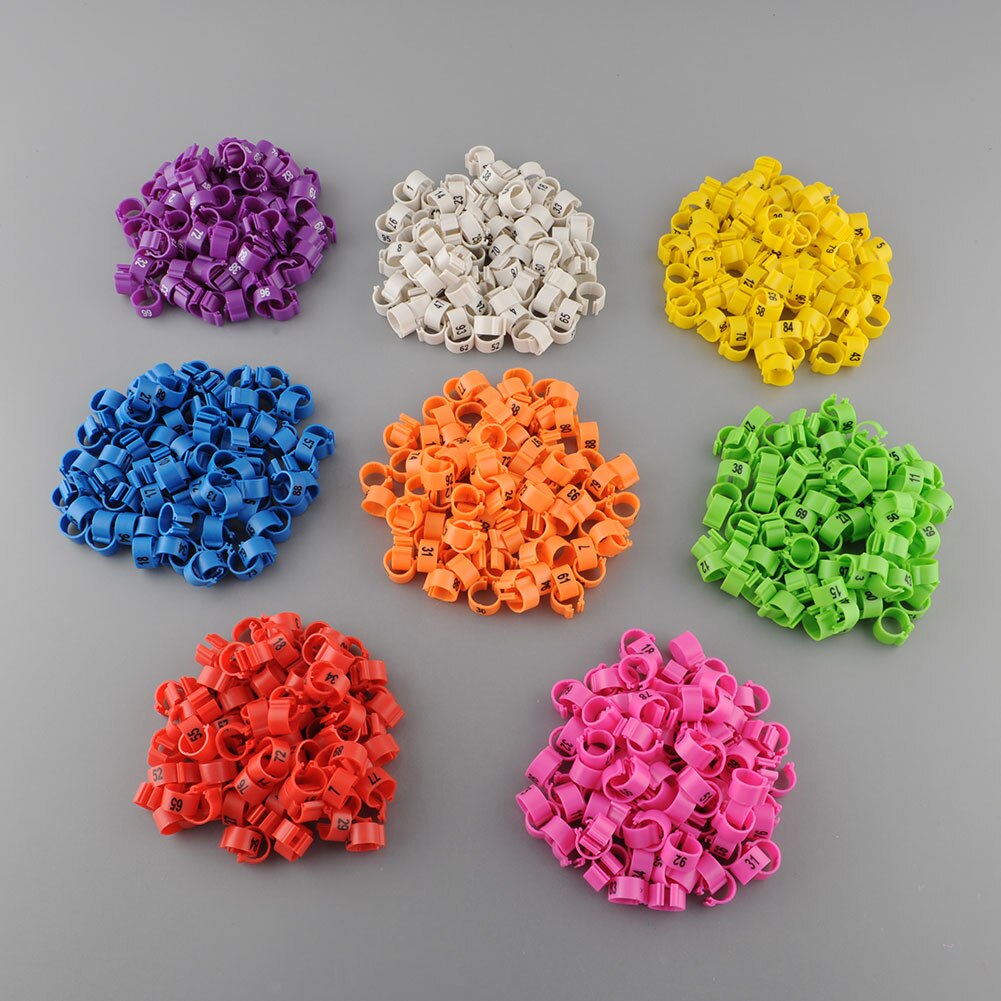 Pata 100 Uds anillos púrpura aves loro anillo para pata mascotas Cockerel Pet suministros Gadget bandas para las piernas pájaro