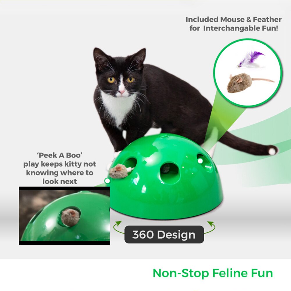 NPLAY Cat Toy Funny Carnival Game For Kitty Pet Includes Interchangeable Mouse &amp; Feather Pet Supplies: Default Title