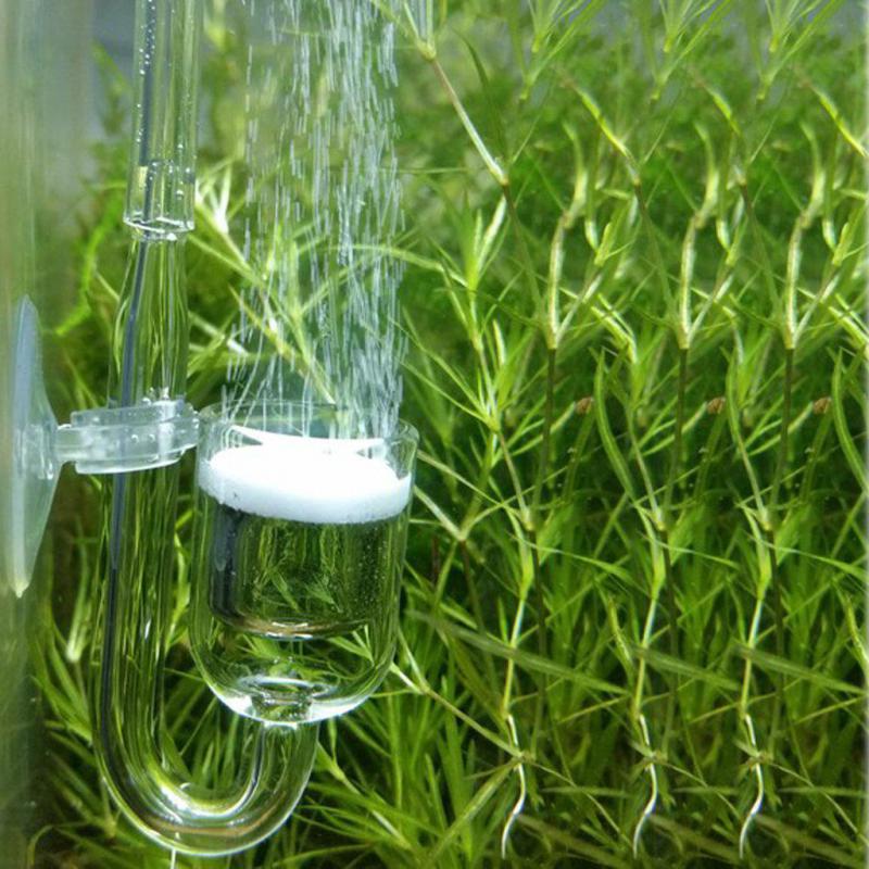 Akvarium  co2 diffuser med keramisk skive til akvarium plante mos boble diffuser plade kuldioxid generator tilbehør