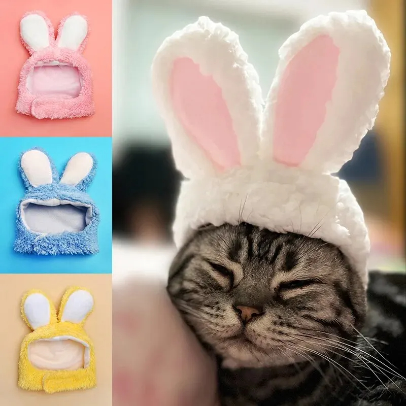 Gorro de gato y conejo, oso de peluche para perros transformado en el casco, orejas de gato Garfield y conejo, famoso sombrero para mascotas en Internet