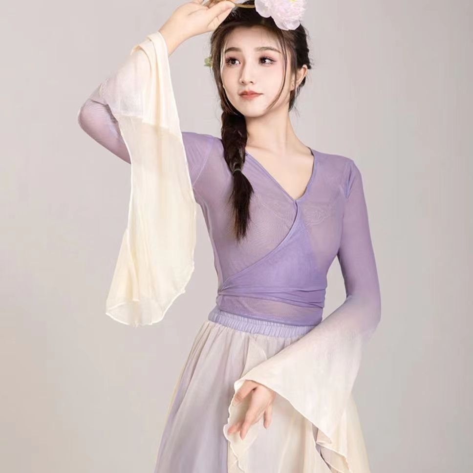 Classical Dance Costume Fairy Purple Suit Daily Practice Dress Loose Flowing Gauze Chinese Dance Performance Stage Dancewear: XL / Red