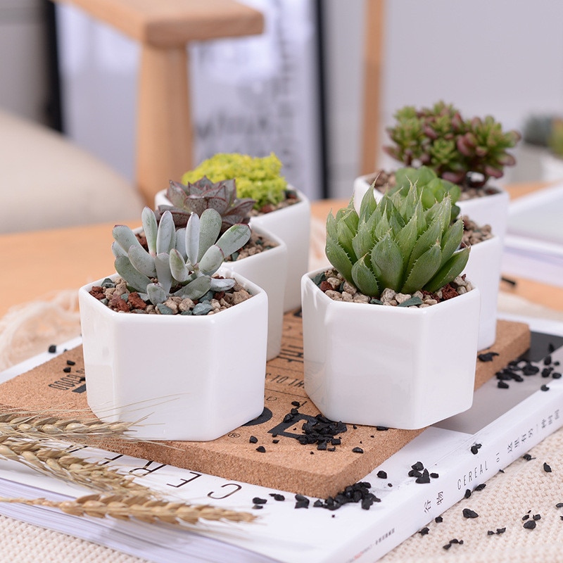 4 stuks zeshoekige bloempotten, witte keramische vetplantenpot met bamboestandaard, kleine bonsaipotten, groene plantenbakken, woondecoratie