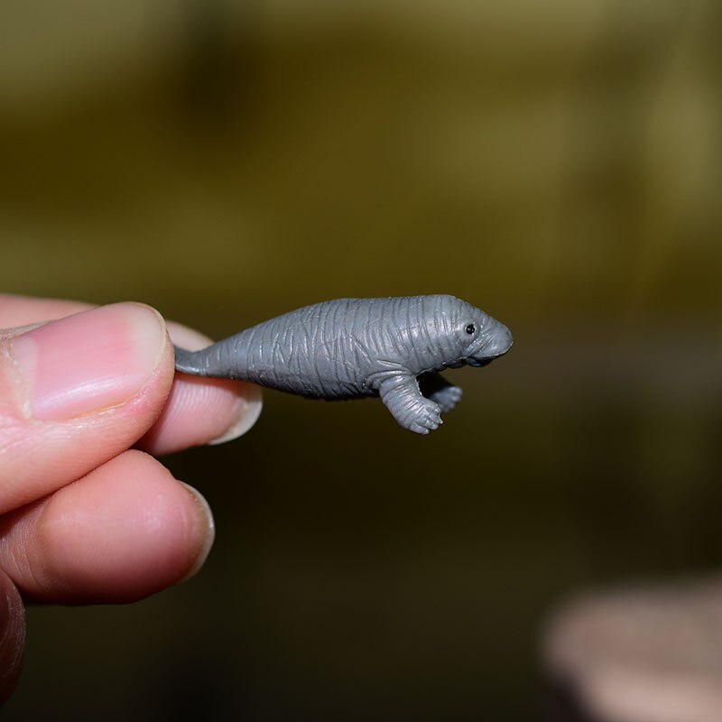 Miniatuur Oceanen Diermodel Schildpad Alligator Walvis Haai Dolfijn Pinguïn Clownfish Kikker Zee Wereld Mini Figurine Decor Speelgoed: Sea lion