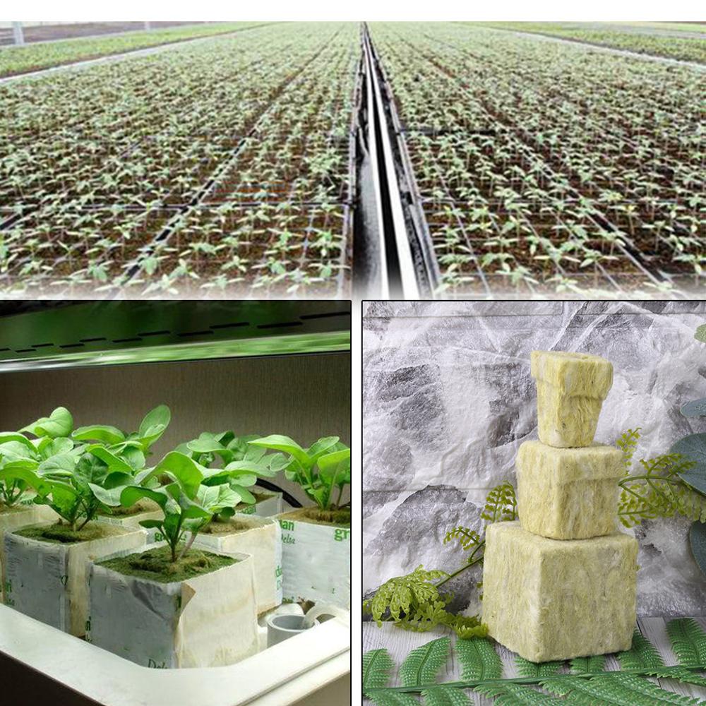 Steenwol Plant Starter Kubus Hydrocultuur Groeien Grondloze Teelt Planten Basis