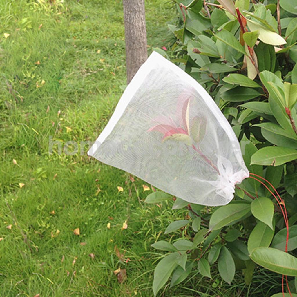 100 jordbruk trädgård pergament jordbruk pollen skydd papperspåsar 6*8cm