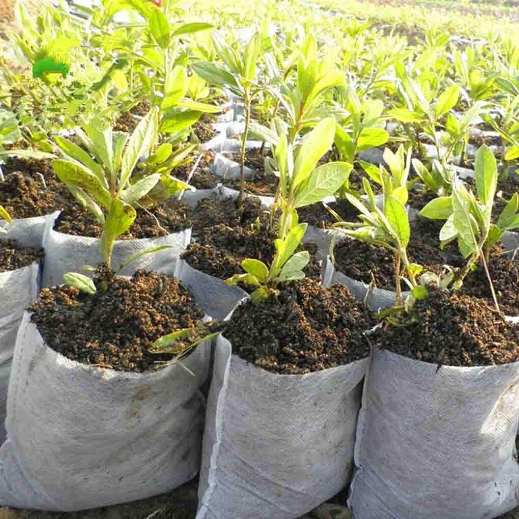 100pcs Biodegradable Seed Starter Bags Breathable Plant Nursing Growing Pouch Vegetable Flower Plant Grow Bags