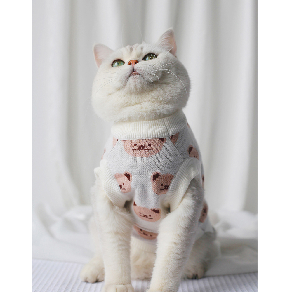 Warm Kat Gebreide Trui Voor Katten Jumper Puppy Pug Jas Kleding Trui Gebreide Overhemd Kitten Kleding Huisdier Hond Kat Kleding