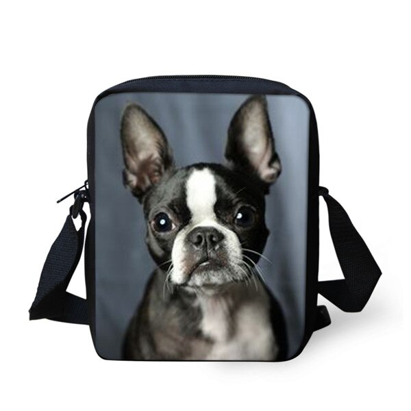 FORUDESIGNS-Bolsa de mensajero con de perro Pug para hombre y mujer, Mini bandolera de poliéster, informal, portátil, para niños y niñas: Z894E